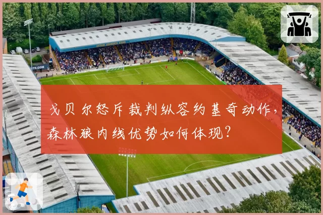 戈贝尔怒斥裁判纵容约基奇动作，森林狼内线优势如何体现？