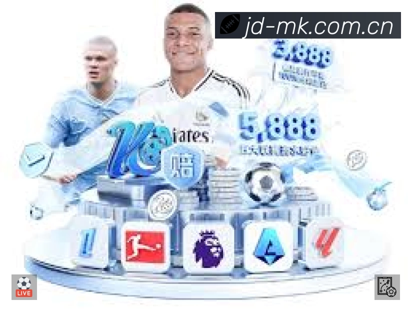 结构优化认证展示